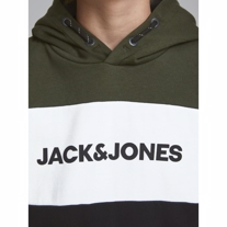 JACK & JONES Sweat Hoodie Logo Forrest Night